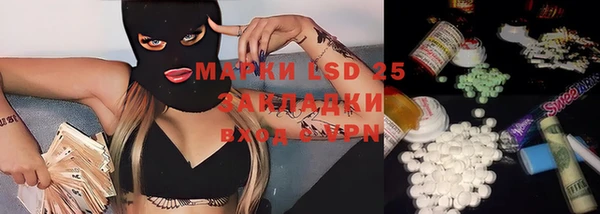 дмт Аркадак
