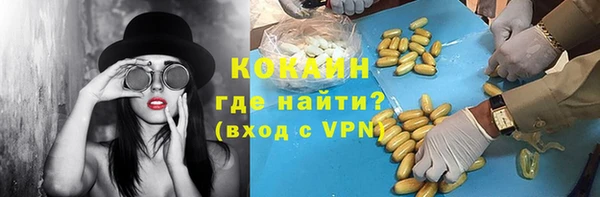 спайс Арсеньев