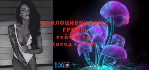 не бодяженный Армянск