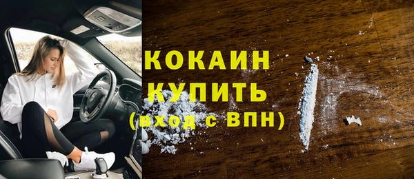 спайс Арсеньев