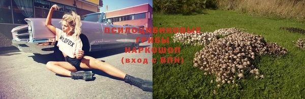 спайс Арсеньев